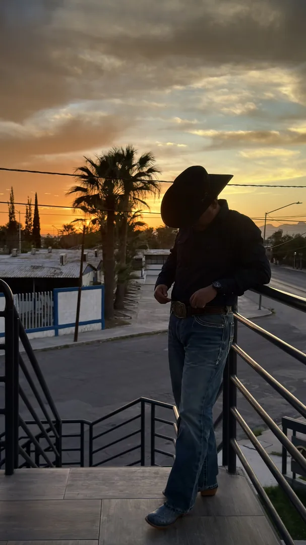 Limpieza de Sombreros